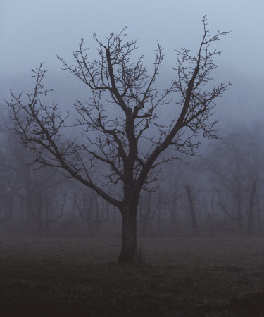 Como conviver com o vazio e a tristeza?